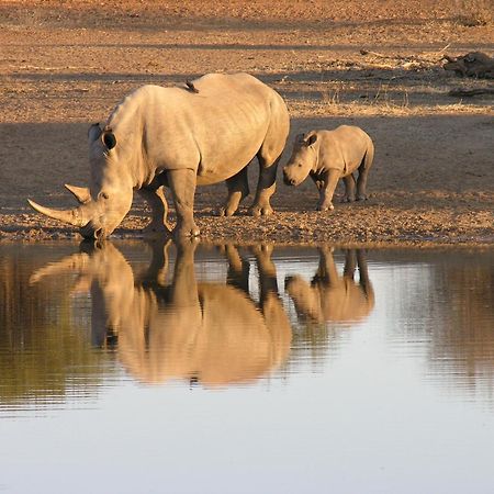 Etali Safari Lodge Madikwe Game Reserve Eksteriør bilde
